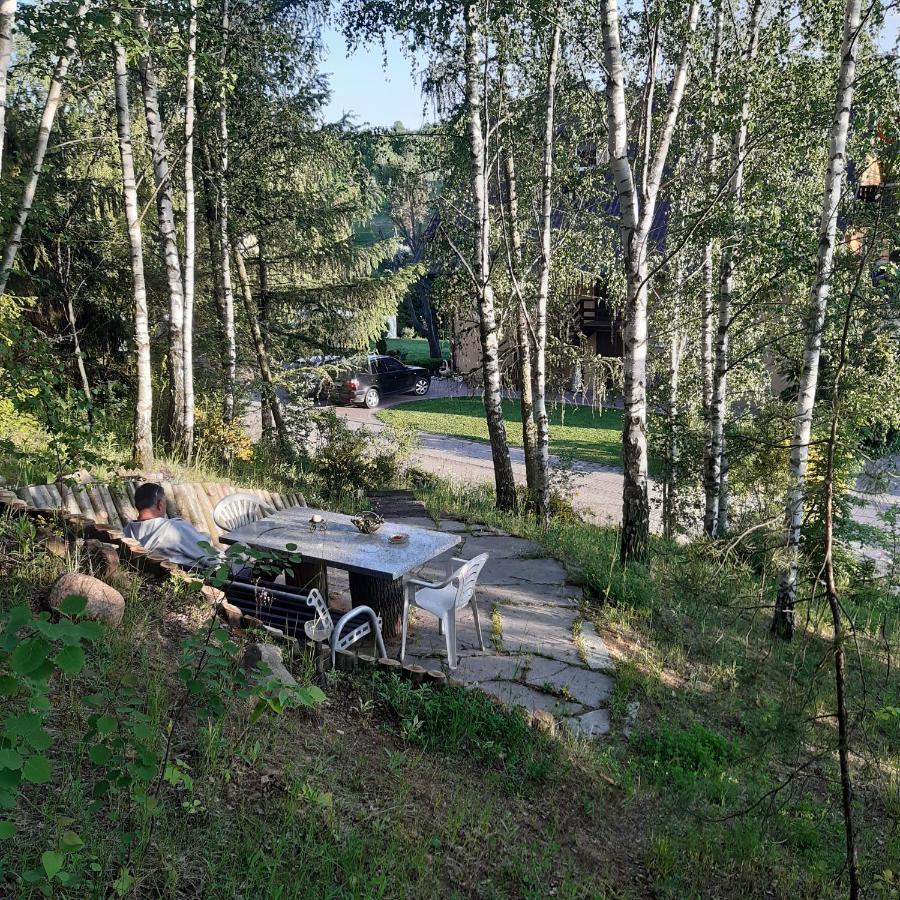 Agroturystyka Brzozowe Wzgorze Wlen Bagian luar foto
