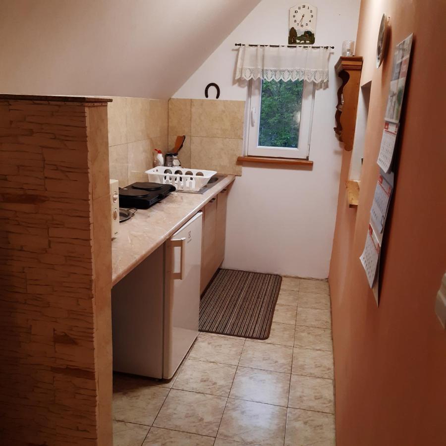 Agroturystyka Brzozowe Wzgorze Wlen Bagian luar foto