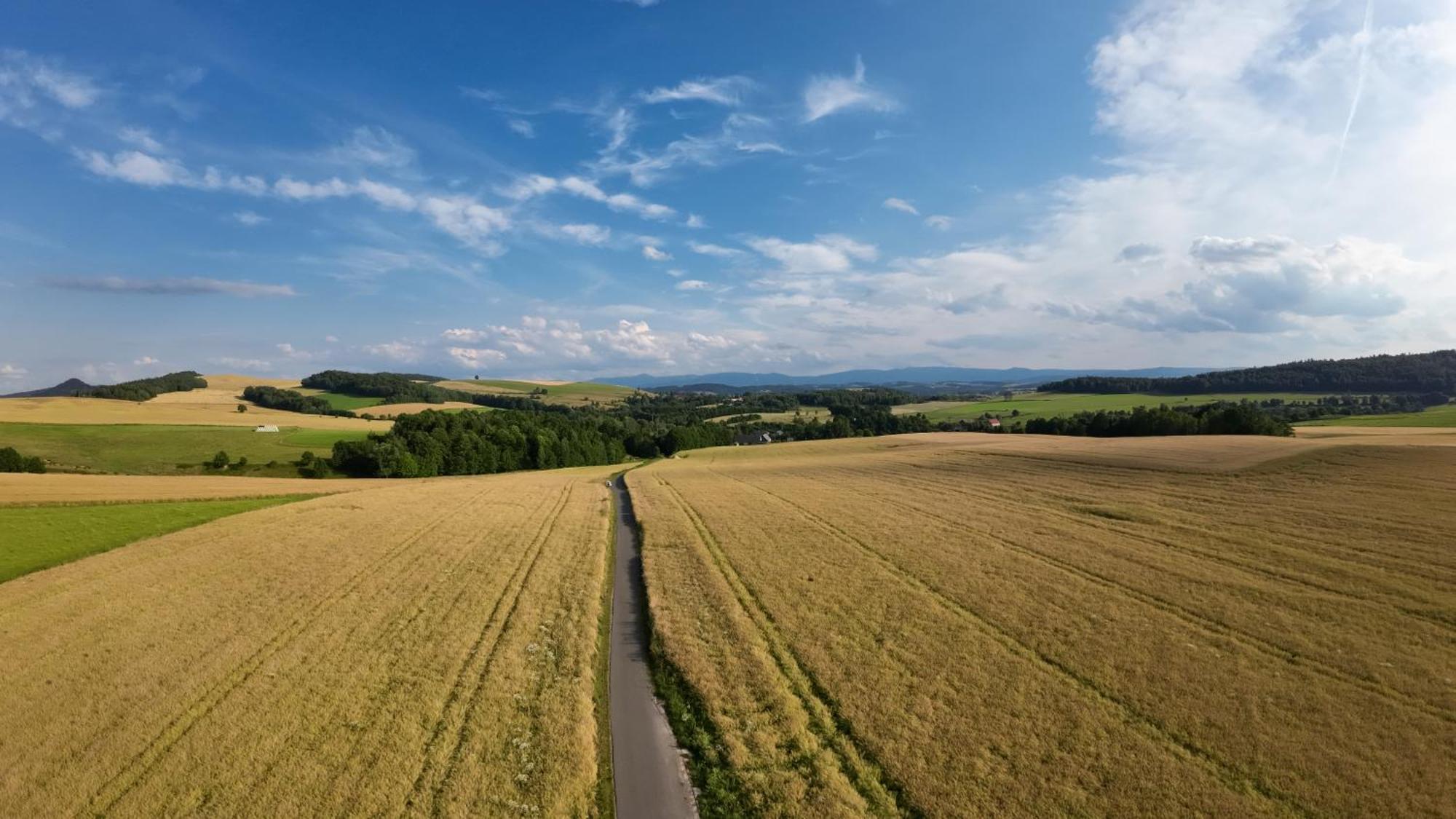 Agroturystyka Brzozowe Wzgorze Wlen Bagian luar foto